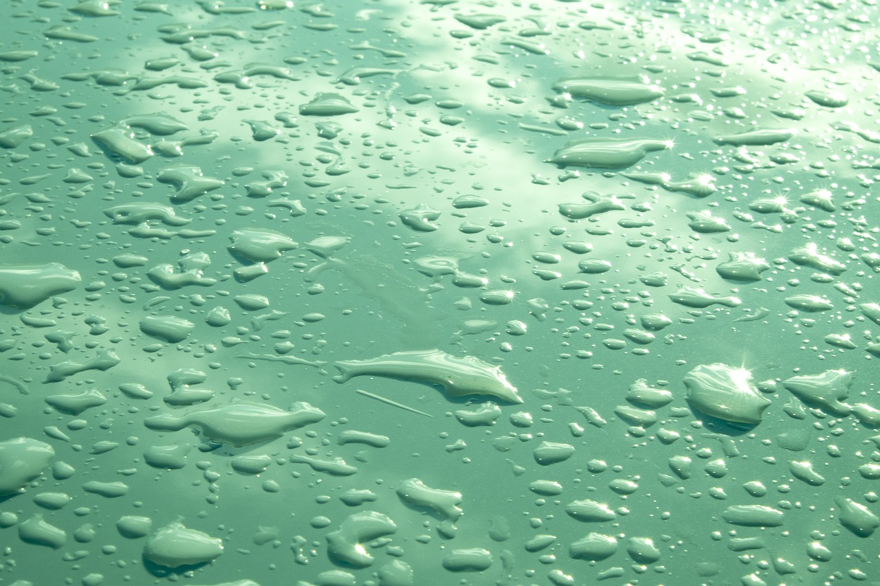 The Role of Water in Everyday Life - A Scientific Perspective